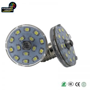 24V LED Funfair Light Bulbs