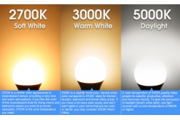 How do you choose the right carnival LED lights for events?